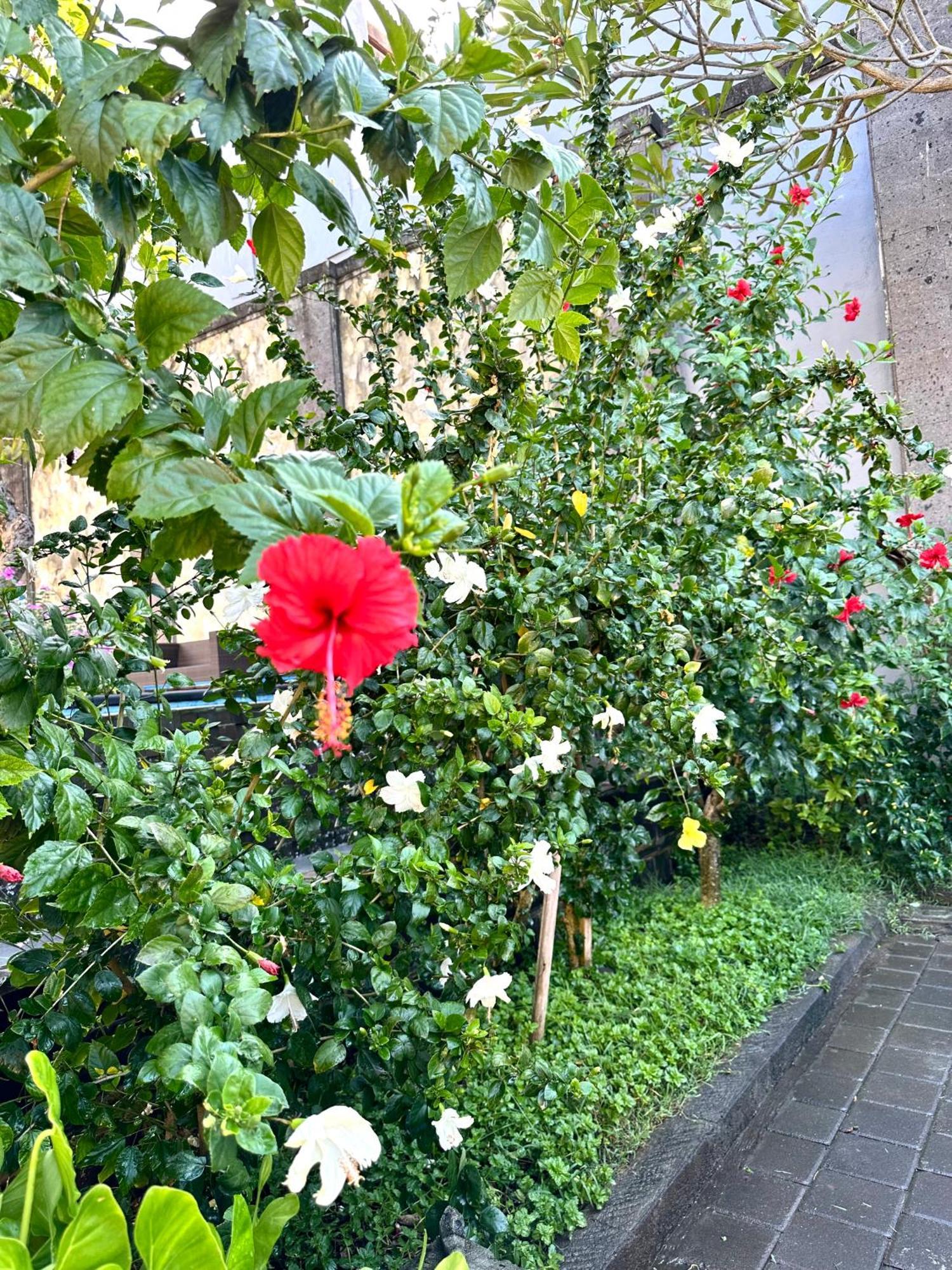 Radha Bali Hotel Kuta  Exterior photo